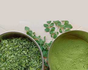 Moringa Leaf Powder