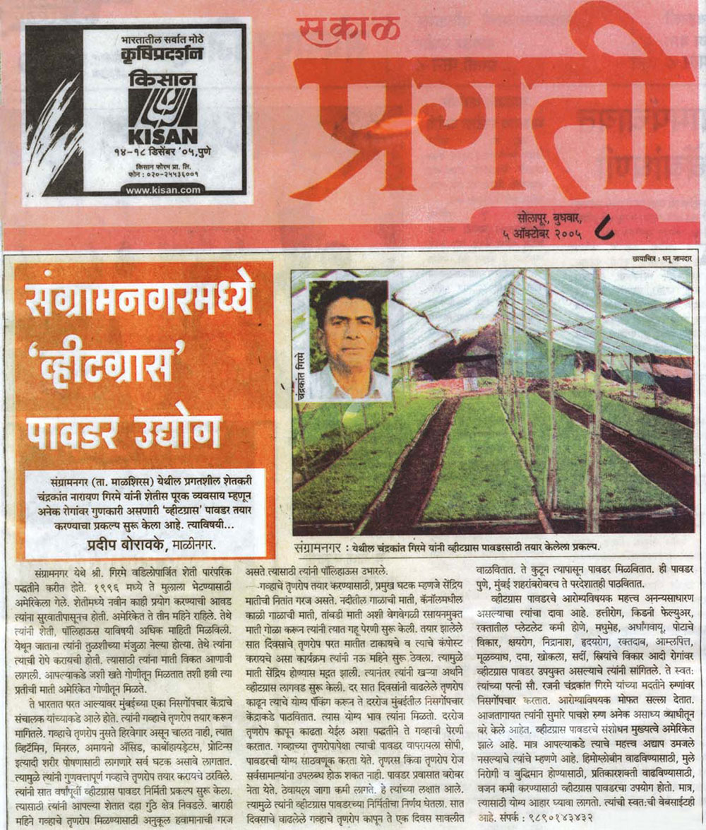 Sakal Pragati