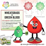 Moringa-Leaf-Powder-farm