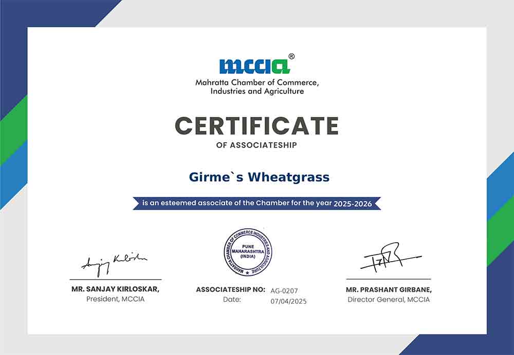 MCCIA Certificate