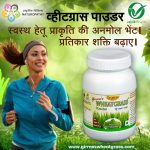 girme’s wheatgrass powder 100g bottle